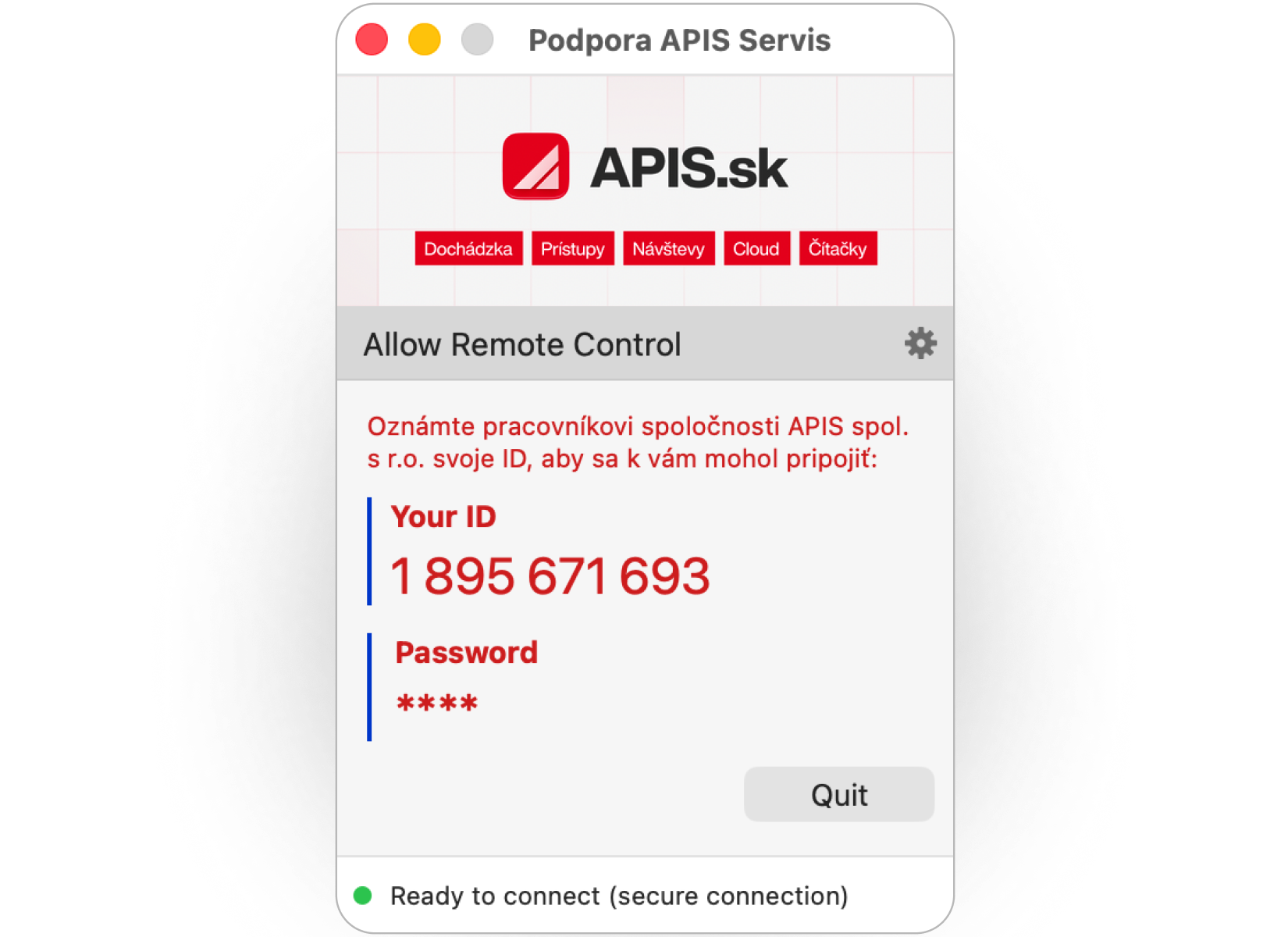 ApisServis remote support program window